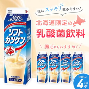 「冷蔵便・保冷剤入りで安心お届け」北海道限定 雪印メグミルク ソフトカツゲン 1000ml 4個