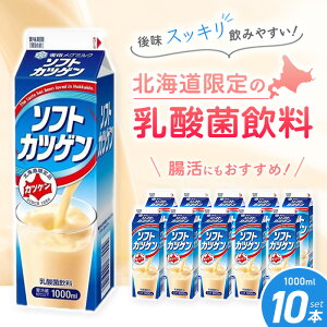 u①ցEۗܓňS͂vkC 󃁃O~N \tgJcQ 1000ml 10