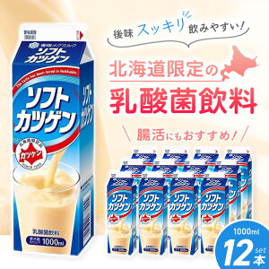 「冷蔵便・保冷剤入りで安心お届け」北海道限定 雪印メグミルク ソフトカツゲン 1000ml 12個