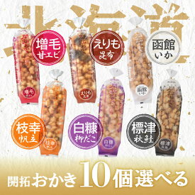 【レビュー特典】選べる10個セット！北菓楼 北海道開拓おかき【枝幸帆立】【標津秋鮭】【白糠柳だこ】【えりも昆布】【函館いか】【増毛甘エビ】
