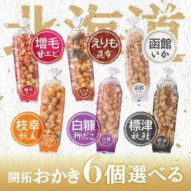 【レビュー特典】選べる6個セット！北菓楼 北海道開拓おかき【枝幸帆立】【標津秋鮭】【白糠柳だこ】【えりも昆布】【函館いか】【増毛甘エビ】