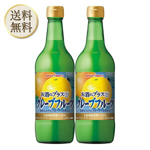 |bJTb| ɃvX O[vt[c 540ml ×2{