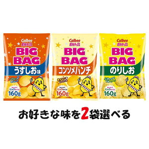 Iׂ2܃ZbgIJr[ |eg`bvX BIGBAG 160gyzyR\p`zŷ肵z