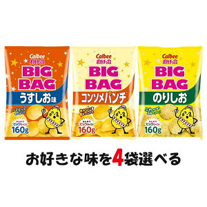 Iׂ4܃ZbgIJr[ |eg`bvX BIGBAG 160gyzyR\p`zŷ肵z