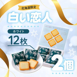 ISHIYA lizCgj12 ×2