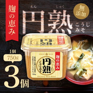 Ђ薡X Y ~n݂ 750g 3