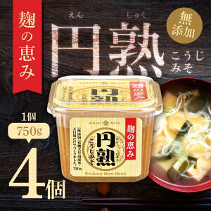 Ђ薡X Y ~n݂ 750g 4