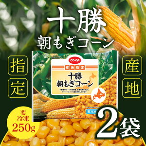 uⓀցEۗܓňS͂v kCt[Y \ R[ 250g ×2