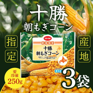 uⓀցEۗܓňS͂v kCt[Y \ R[ 250g ×3