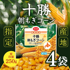 uⓀցEۗܓňS͂v kCt[Y \ R[ 250g ×4