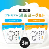 選べる3個セット！プレミアム湯田ヨーグルト 800g 【プレーン】【加糖】「冷蔵便・保冷剤入りで安心お届…