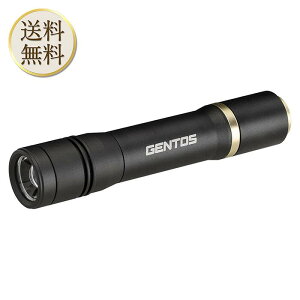 y18̓ԒX|Cgő{20{zGENTOS(WFgX) d LEDCg [d(p[dr)  900[ NV[h RX-486PB nfBCg tbVCg