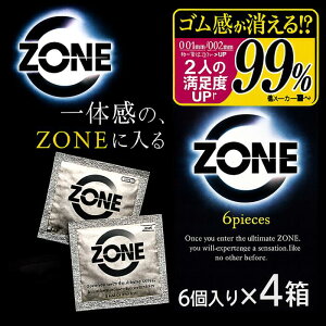 y}\ԒX|Cgő{20zWFNX Rh[ ZONE ][ 6×4