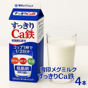 「冷蔵便・保冷剤入りで安心お届け」雪印メグミルク すっきりCa鉄 1000ml 4個