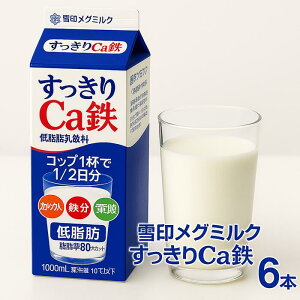 「冷蔵便・保冷剤入りで安心お届け」雪印メグミルク すっきりCa鉄 1000ml 6個