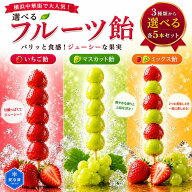 敬老の日 夏ギフト パリッと食感！選べる 冷凍フルーツ飴 5本 タンフル いちご飴 マスカット飴 ミックス…