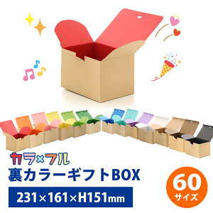 J[MtgBOX A5 z60TCY _{[ 10Zbgyz231mm×162mm×151mm Jt i{[ 60TCY A5 210×148 Mtg v[g 蕨  z A  z ^b`