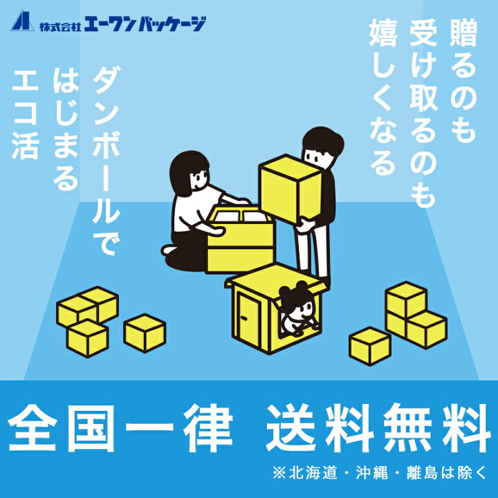 楽天市場 ダンボール 段ボール箱 宅配 段ボール封筒 ｄｖｄケースサイズ 送料無料192mm 272mm 高さ30mm 10枚セット Dvd Cd 本 発送 配送 エーワンパッケージ