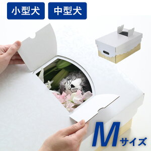 yzybĝЂ gݗĊȒP i{[ MTCY650×450×260mm ybg  Ђ ybgp _{[ i{[  { g ȒP ʂ 肪Ƃ