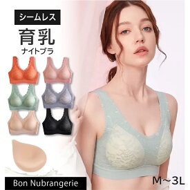 【 在庫限りセール 】送料無料★メール便 ナイトブラ 育乳ブラ おやすみブラ 夜 寝る 睡眠 育乳 自胸 育てる 横流れ 防止 産後ブラ 卒乳 脇肉ブラ 盛りブラ 大きいサイズ 補正ブラ ブラジャー 補正下着 ナイトブラ ナイトブラ　全6色 全4サイズ （ナイトブラ002）