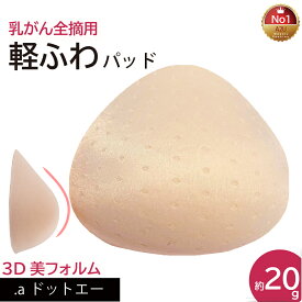 【元看護師監修】 高評価4.49/497件 【初めての乳がんパットに/軽ふわウレタンパッド】乳がん 全摘 パット 乳がん パット 全摘術専用 ウレタンパッド 乳がん用 パッド 胸 パッド 乳がん 人工 乳房 乳がん 全 摘 ブラジャー対応 バスト補正 乳房補整具乳房パッド (軽量パッド)