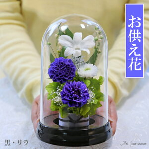 V~ ~  vU[uht[ dp dp @   䋟 ފ r͂     ʖ V ʎ @v d d   ̂ sN CG