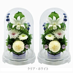 �v���U�[�u�h�t�����[ ������� �u���U�[�h�t����- ���� ��� SET ���d�p �͂�Ȃ� �������� �����z�B �P�[�X����h�[�� �e �@�� �������� ������ �u���U�[�h�t�����[ ���d�p ���� ���� ���� 