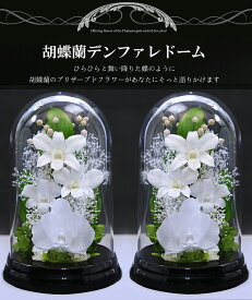新盆 初盆 仏壇用 プリザーブドフラワー 仏花 一対 SET 法事 お供え花 仏壇用 ブリザードフラワー お供え 供花 ケース 胡蝶蘭 コチョウラン ホワイト ピンク お悔やみ お花 通夜 葬儀 アートフォーシーズン 【あす楽対応_関東】送料無料 【対デザイン デンファレドーム】