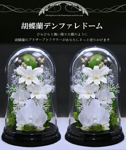 V~ ~  vU[uht[ dp  SET @  dp uU[ht[   P[X Ӓ R`E zCg sN   ʖ V A[gt