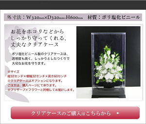 「3号サイズ用胡蝶蘭カラークリアケース」折りたたみ式長持ちプリザだから埃避け付きでこのまま飾れます。