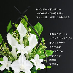 楽天市場 1号サイズ 胡蝶蘭カラークリアケース付 仏壇用 プリザーブドフラワー ブリザードフラワー 法事 お供え花 仏花 初盆 新盆 お悔やみ お供え 喪中はがき 弔電 電報 仏壇 命日 あす楽 送料無料 アートフォーシーズン