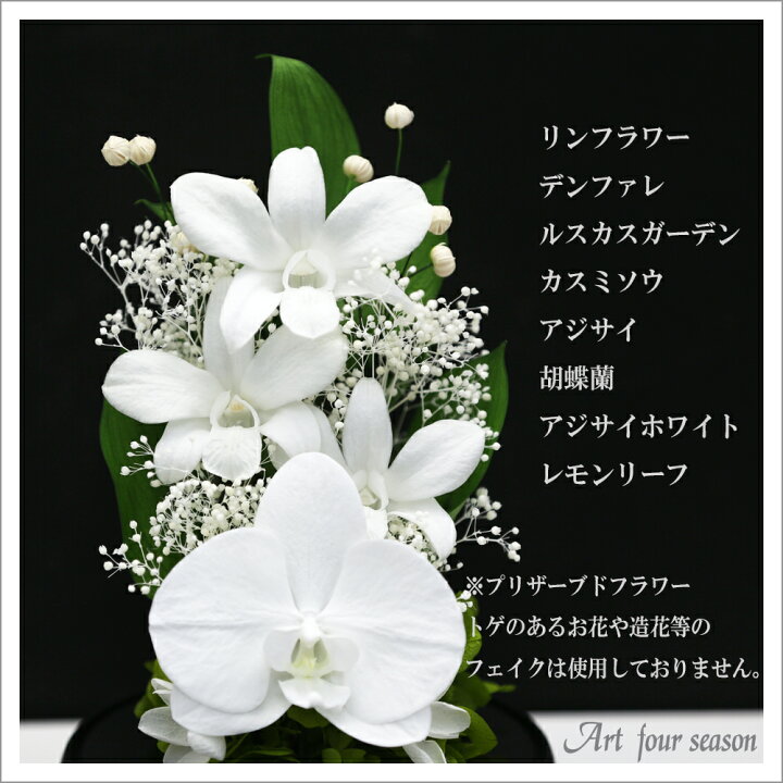 楽天市場 初盆 新盆 プリザーブドフラワー 仏花 デンファレ ドーム 仏壇用 法事 お供え花 ブリザードフラワー プリザーブドフラワー お供え 胡蝶蘭 供花 喪中はがき お悔やみ お花 枕花 通夜 葬儀 告別式 お彼岸 法要 弔電 電報 仏事 ホワイト 白 送料無料 あす