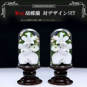 プリザーブドフラワー ドームお供え」の人気商品一覧・価格比較 - 価格.com