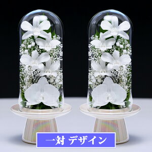 �v���U�[�u�h�t�����[ ���� �K���X�h�[�� �u���U�[�h�t����- �͂�Ȃ� �����z�B �������� ���d�p ��� SET �@�� �������� �u���U�[�h�t�����[ ���d �P�[�X �z���C�g ���ފ� �r�� �� ���� ����