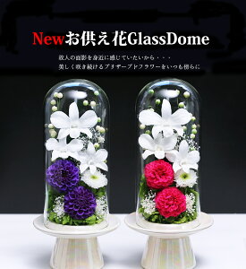 �v���U�[�u�h�t�����[ ���� �u���U�[�h�t����- ���d�p �������� �����z�B �K���X�h�[�� �@�� �������� �u���U�[�h�t�����[ ���d �P�[�X ���ފ� �� ���� ������� �͂�Ȃ� ���� ���� ���V ��