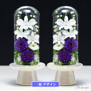 ԃvU[uht[  uU[ht-  dp  zB KXh[   e     uU[ht[ P[X ފ r͂  