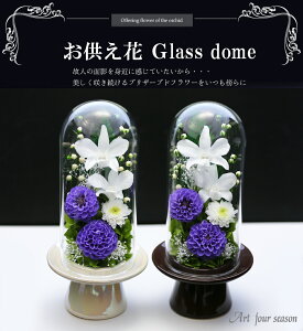 V~ ~ vU[uht[  @   dp uU[ht[ d P[X ފ r͂   KXh[    Ȃ V ʎ A[