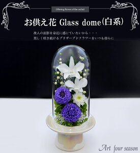 ԃvU[uht[  uU[ht-  dp  zB KXh[ @  uU[ht[ d P[X ފ      V 