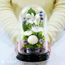 初盆 新盆 プリザーブドフラワー 仏壇用 仏花 ブリザードフラワ- 仏花 翌日配達 ケース入り ドーム 新盆 初盆 法事 お供え花 ブリザードフラワー枯れない 供花 お悔やみ お彼岸 通夜 葬儀 告別式 法要 仏事 仏壇 命日 アートフォーシーズン 送料無料 【マムドーム】