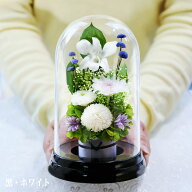 初盆 新盆 プリザーブドフラワー 仏壇用 仏花 ブリザードフラワ- 仏花 翌日配達 ケース入り ドーム 新盆 …