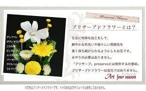 楽天市場 マムドーム 法事 お供え花 お供え 仏壇用 ブリザードフラワー プリザーブドフラワー 仏花 供花 お悔やみ 初盆 新盆 枕花 お彼岸 通夜 葬儀 告別式 法要 弔電 電報 仏事 仏壇 命日喪中はがき あす楽対応 関東 送料無料 アートフォーシーズン