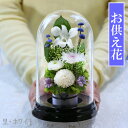 仏花 プリザーブドフラワー 仏壇用 法事 お供え花 ブリザードフラワー プリザーブドフラワー お供え 供花 お悔やみ お花 枕花 お彼岸 通夜 葬儀 告別式 法要 弔電 仏事 仏壇 命日 喪中 新盆 初盆 アートフォーシーズン 送料無料 【マムドーム】