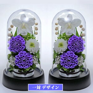 V~ ~ vU[uht[   SET dp @  dp uU[ht[ _d ~j P[X 䋟     ފ sN CG[ p[v A[