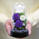 プリザーブドフラワー 仏花 新盆 初盆 仏壇用 ミニ ブリザードフラワー モダン仏壇 お供え 御供 ミニ ケース 供花 ペット お悔やみ のお花 枕花 告別式 お彼岸 法要 小さめ 小型 アートフォーシーズン 【送料無料】【あす楽対応_関東】 【Miniお供え花ドーム】