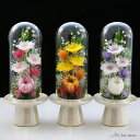 プリザーブドフラワー 仏花 ガラスドーム 菊 キク カスミソウ アジサイ 法事 お供え花 お供え 仏壇用 仏壇 ケース お彼岸 喪中はがき 花 供花 お悔やみ お花 枕花 おそなえ 葬儀 告別式 新盆 初盆 アートフォーシーズン 送料無料 【あす楽対応_関東】 【輪菊Glass】