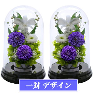 V~ ~  vU[uht[ dp  SET @   dp uU[ht[     䋟 d d d  sN CG[ p[v A[g