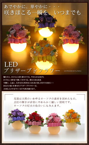 送料無料LEDプリザプリザーブドフラワーホタル結婚記念日誕生日【楽ギフ_メッセ入力】【あす楽_土曜営業】【HLS_DU】【RCP】