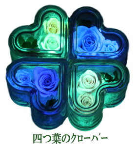 t[Mtg vU[uht[ 蕨 av[g   o LOv[g ސE җj j LO uU[ht[   sN CG[ u[ p