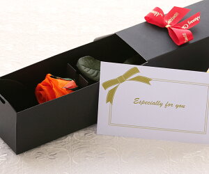 t[Mtg vU[uht[ av[g   LOv[g LO v[g 蕨 җj w  Mtg ސEj  sN bh u[ I