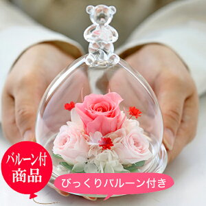 vU[uht[ av[g  ̓yxA[AC  o[ Zbgz t[Mtg o J[l[V  efBxA D  LOv[g ~j j  